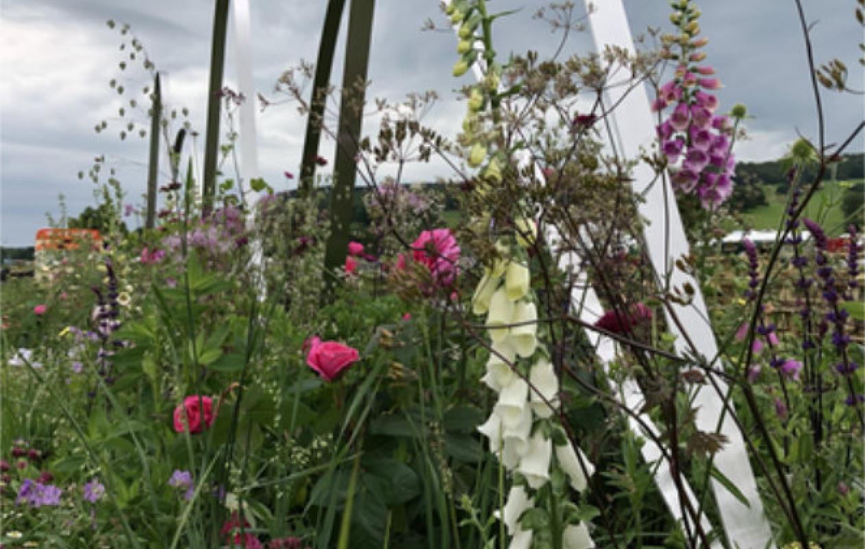 Winning Chatsworth garden by Rachel Bailey