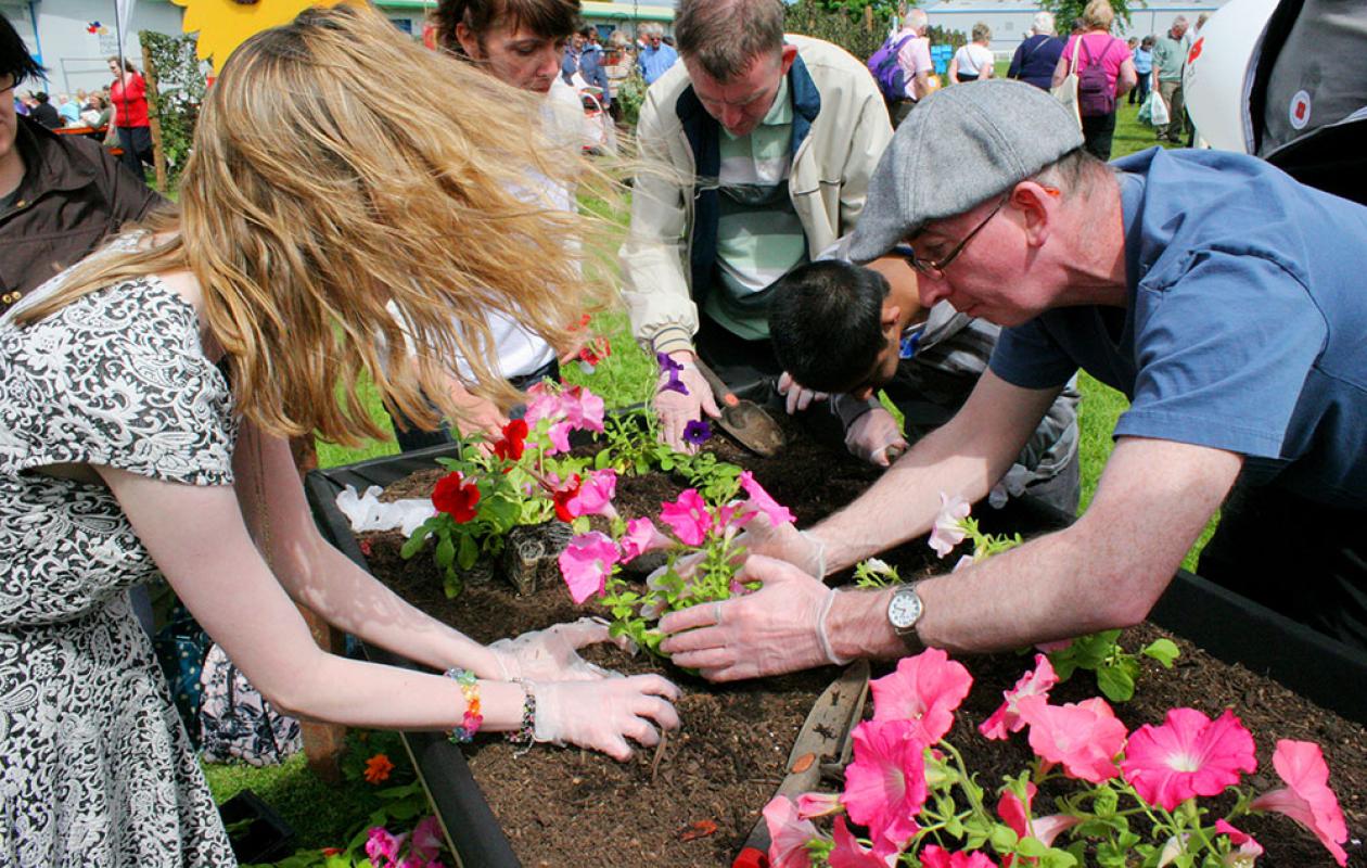 People gardening using raised beds