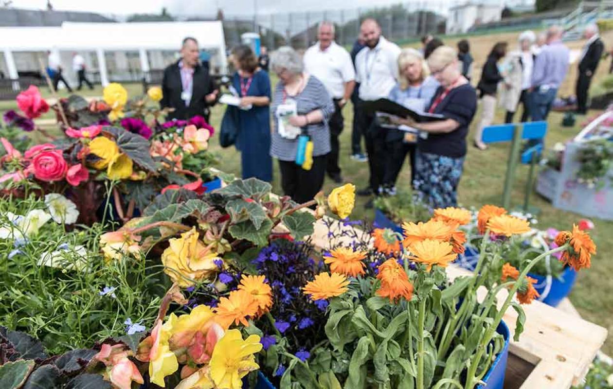 Prison Garden