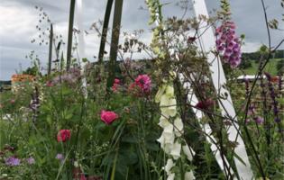 Winning Chatsworth garden by Rachel Bailey