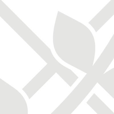 Trellis logo icon